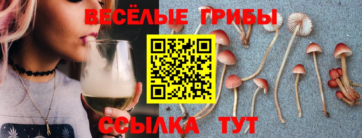 Майский  Галлюциногенные грибы прущие грибы  Вход с VPN 