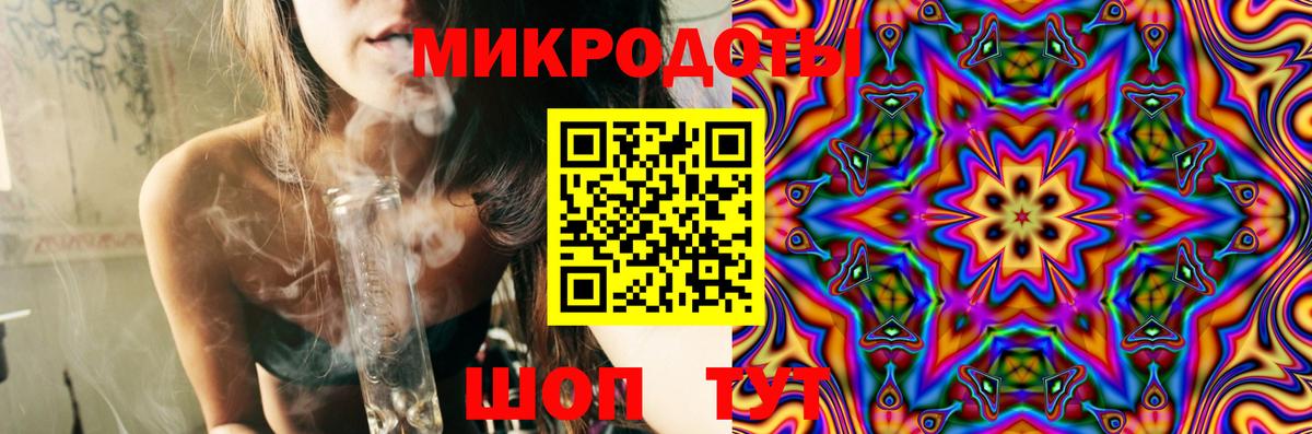 Галлюциногенные грибы Psilocybe Майский